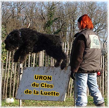 Elevage du CLOS DE LA LUETTE - COPYRIGHT DEPOSE